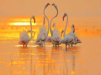 Rishikesh – Mussoorie Package