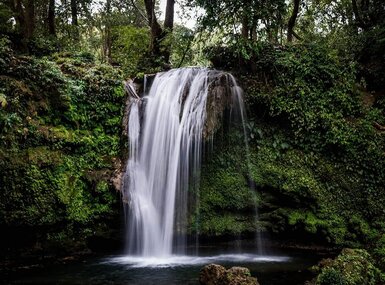 Mussoorie – Rishikesh – Corbett Package